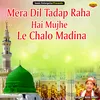 About Mera Dil Tadap Raha Hai Mujhe Le Chalo Madina Islamic Song