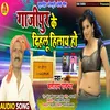 Ghazipur Ke Dihlu Hilay Ho Bhojpuri Song