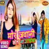 About Mor Jawani Jhel Nahi Paiba Bhojpuri Song