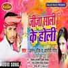 About Jija Sali Ke Holi Song