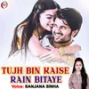 Tujh Bin Kaise Rain Bitaye Hindi