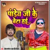 Pandey Ji Ke Beta Hai Bhojpuri Song