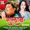 About Gulab Himachali Song