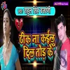 About Thik Na Kailu Dil Tod Ke Song