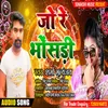 About Jo Re Bhosari Song