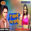 About Aye Saali Rang Daali Song