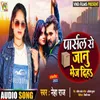 About Parcel Se Jaanu Bhej Diha Bhojpuri Song