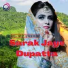 Sarak Jaye Dupatta Bhojpuri