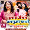 Gulab Jaisan Balamua Hamro Bhojpuri Song