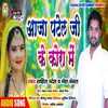 About Aaja Patel Ji Ke Kora Me Bhojpuri Song