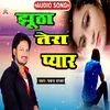 About Jhutha Tera Pyar Hindi Song