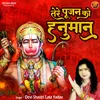 About Tere Pujan Ko Hanuman Song