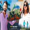 About Janu I Love You Bhojpuri Song Song