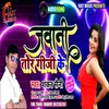 About Jawani Tor Giji Ke Song