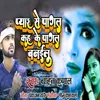 About Paswan Ji Ke Kail Darad Kare Sadi song Song