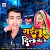 About Gayil Dil Thod Ke Bhojpuri Song Song