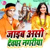 About Jaib Aso Devghar Nagariya Song