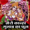 Mero Kanha Gulab Ka Phool Hindi