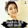 About Sakora Tero Thando Pani Hindi Song