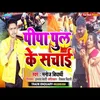 About Pipa Pul Ke Sachayi Bhojpuri Song Song