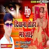 About Diwana Tohar Mar Jai Bhojpuri Song