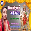 About Dil Tohara Ke Mai Kahela Bhojpuri Song