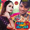 About Babua Pet Mein Khela? Taave Song