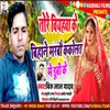 About Tore Biyahaba Ke Bihane Marbau Kakolat Me Dub Ke Maghi Song