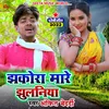 About Jhakora Mare Jhulni Dhobi geet bhojpuri Song