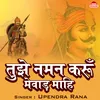 About Tujhe Naman Karo Mewar Mahi Song