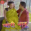 About Pyari Nanu Pahadi Song