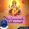 About Hey Gananayak Siddhivinayak Song