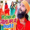 About Tere Darbar Ki Lila Jag Me Nirali Hai Song