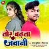About Tor Badhata Jawani Bhojpuri Song