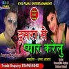 About Dusra Se Pyar Karelu Song