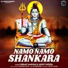 About Namo Namo Shankara Song