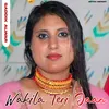 About Wakila Teri Jaan Mewati Song