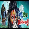 About Mere Shiv Avinashi Song