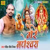 About Mere Ganeshawara (Bhakti Song) Song