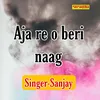 About Aja Re O Beri Naag Song