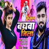 About Ajamagarh Baghawa Jila (Ajamagarh bhojpuri Song) Song