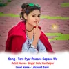 About Tero Pyar Ruaane Sapana Me (Hindi) Song
