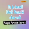 About Tu Ja Bandi Bhali Kane Ki Charwali Song