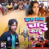 About Chala Gaya Chand Kaha Guljar Bihari (Hindi) Song