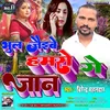 About Bhul Jaibe Hamro Ge Jaan (Maithili) Song