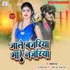 About Jale Bajariya Mare Najariya (Bhojpuri) Song