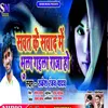 About Sawat Ke Sawad Me Bhula Gaila Raja Ho Song