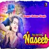 About Naseeb Song