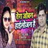 About Tera Joban Hailojan Hai Bhojpuri Song