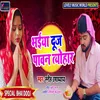 About Bhaiya Dooj Pavan Tayohar Bhojpuri Song